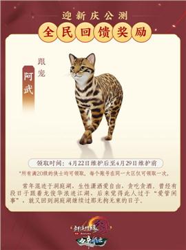 刀剑天龙八部私服